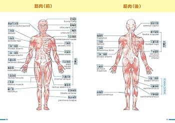 看護本まとめ売り　計24冊2021年版 Amazon.co.jp: 看護師・准看護師 - 医療・看護: 本